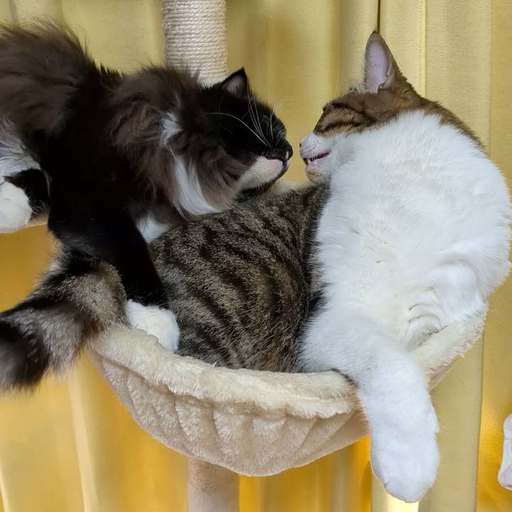 2b81ae1d 2973 457e 93fb a7f430a6f60b 1666235896157