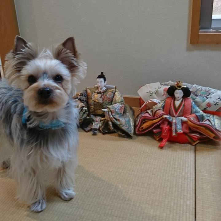 2b81b4ca 67f8 43d1 b62f 9c45f289e82e 1517640959835