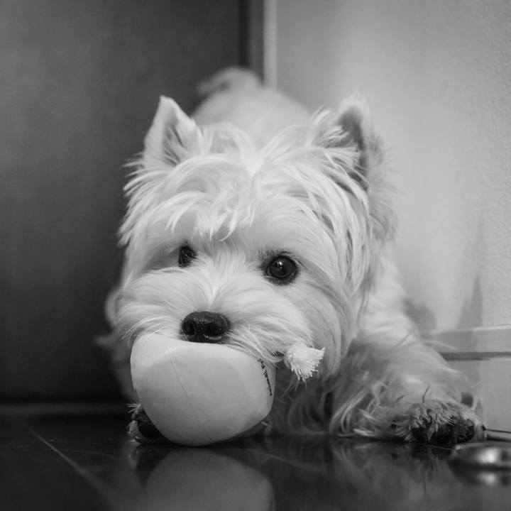 2b81d0eb 3612 4451 97f8 057620d0a1f5 1530787397582