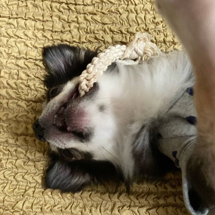 2b81f96d 8f97 4344 a637 5b464958bf98 1653225817602