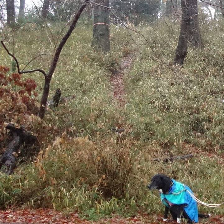 2b821827 0f03 4fe8 83bd 84fb1f35f59d 1705796848267