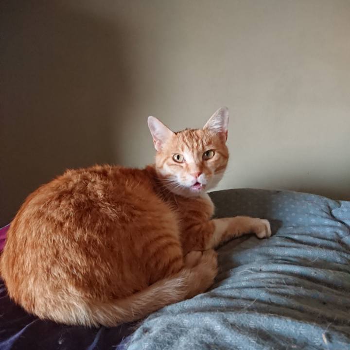 2b8234a6 06a1 4576 9146 3bc73ce835ab 1592299342873