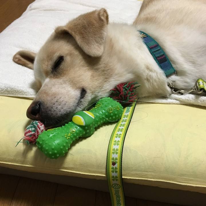 2b824f6d 1efb 47d3 8052 172af8749a79 1530112714379