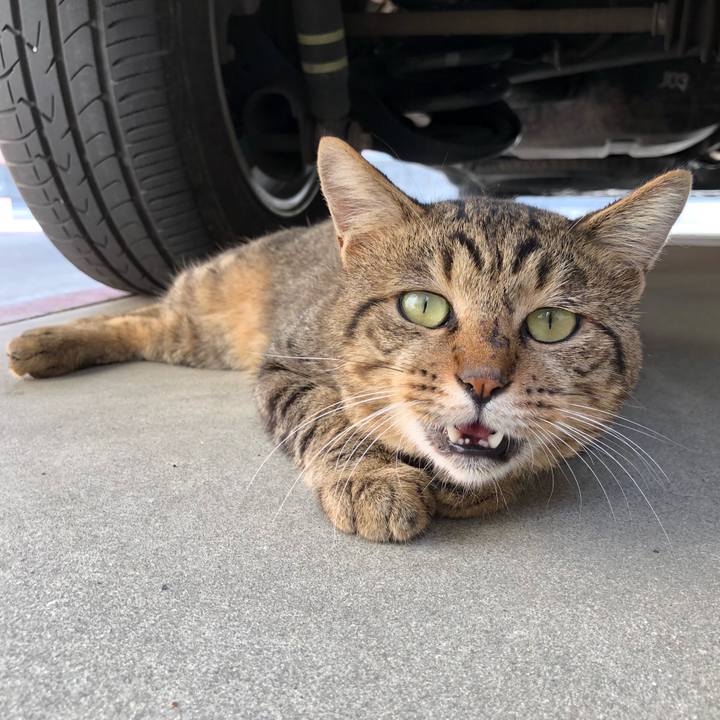 2b825b89 2aeb 459e b402 2e7963c7f954 1569827945387