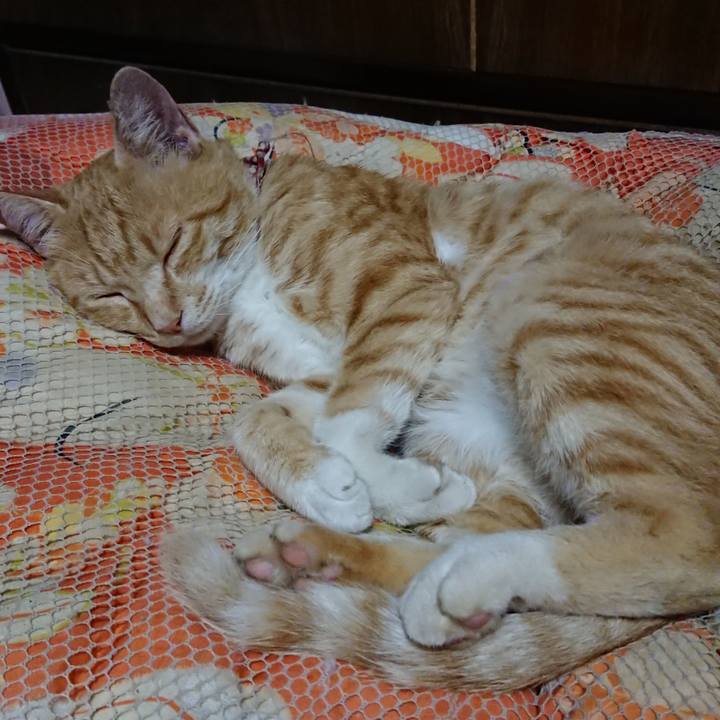 2b82aef4 80cd 471b a167 0e1f5e1d0a35 1561985198029