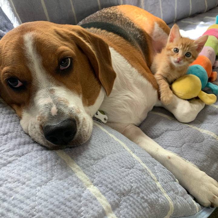 2b82cdb9 4516 4a1c b024 51ec39bcaead 1571450746042