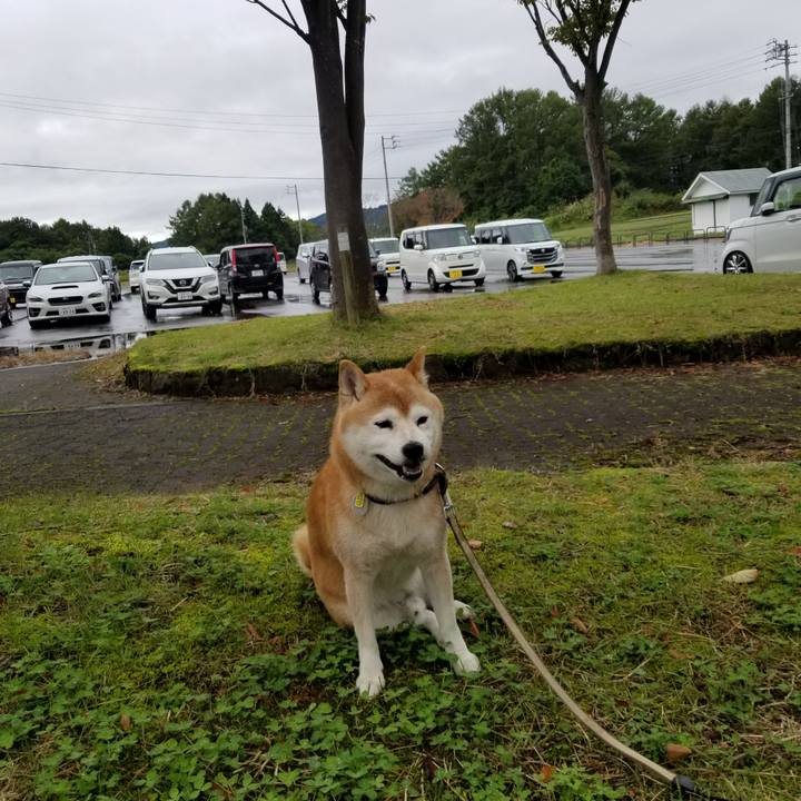 2b8342a1 69e4 46a3 a8d8 523690f219f9 1665374440581