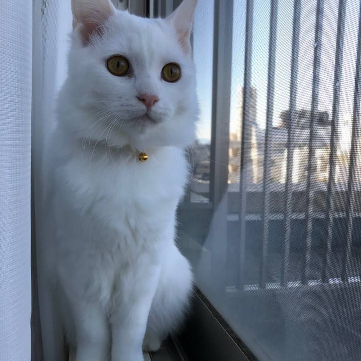 2b836f40 42aa 4edc 9234 52cce30b58dd 1519430546438