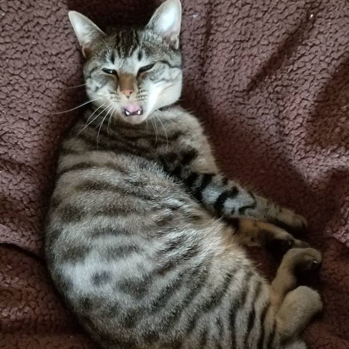 2b8374d7 e7a6 4cc9 a82a a19510441779 1688019169257