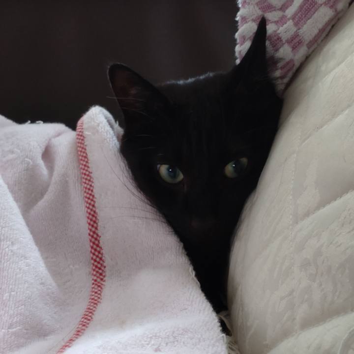 2b837e01 ba92 4c4c bc3d 3ae4b32c1b26 1632630237168