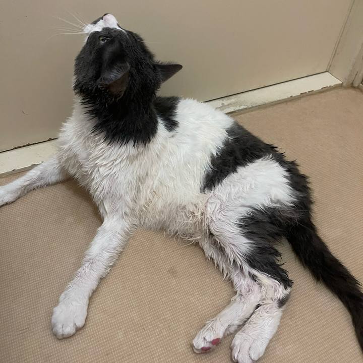 2b83eb0a f729 4817 aa30 fbec38c9efa8 1752381782179