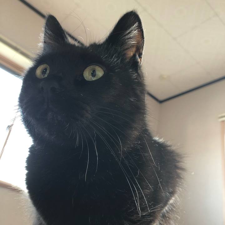 2b83f523 9f61 4da4 b51b 5321e7e070f4 1569938511814