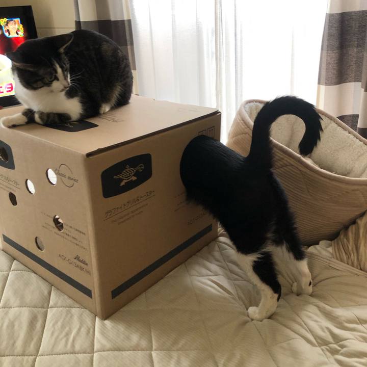 2b844a42 f9b8 47bb b004 533bb9fe399f 1597555306932