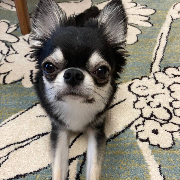 2b8471fb 3ae7 4f56 b70d 122ecb1f631a 1626580249133