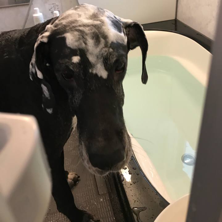 2b84a50c d342 4341 ab32 b62d1722cf4c 1537748720217