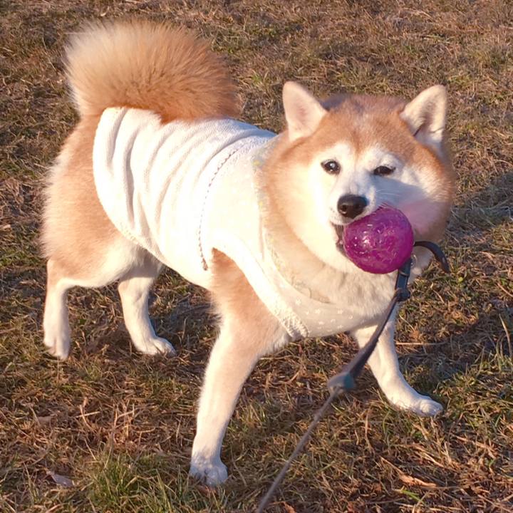 2b84b436 5d65 4331 83d9 7b0c4f700496 1548309341324