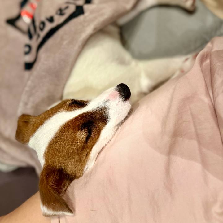 2b84c1ef 6882 457a aefb ae8bfccb9cec 1748179932461