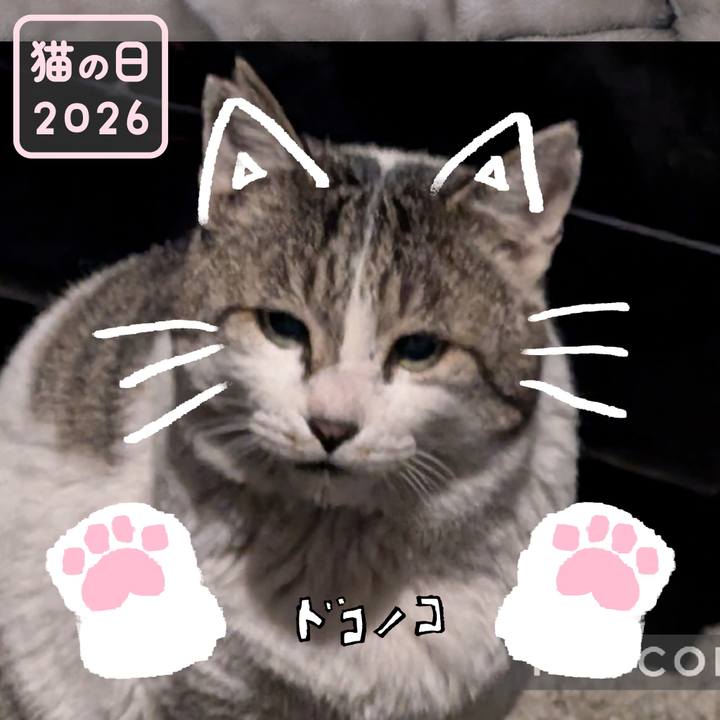 2b84cd26 71eb 4abe a787 63b5bbd77917 1771739306946