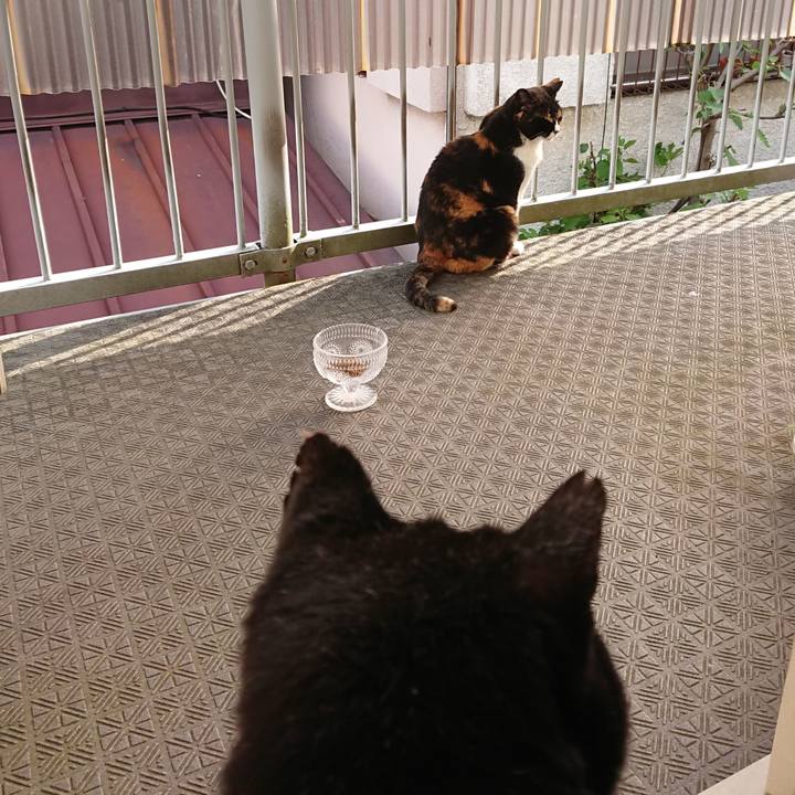 2b850fcb 543e 45ab 83b1 979baa072801 1622001206429