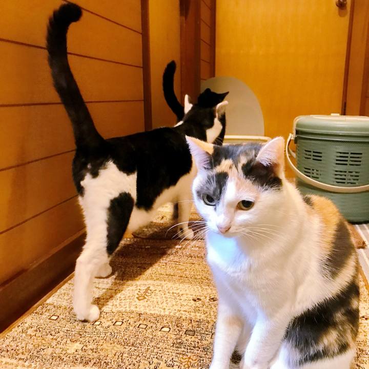 2b85364e 3fbd 4cea b5f1 2f63851284e1 1508820946308