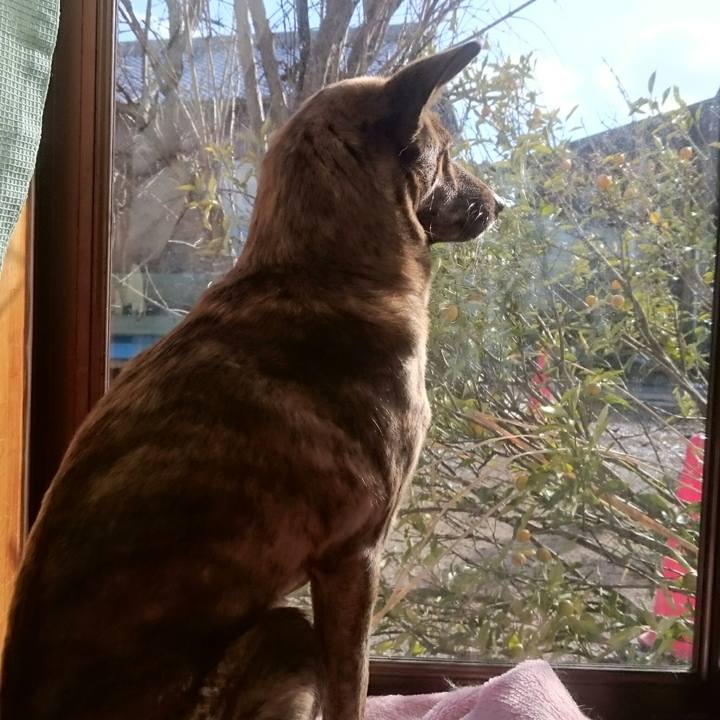 2b8577f5 be13 4a25 b172 55b5046c83de 1515834341310