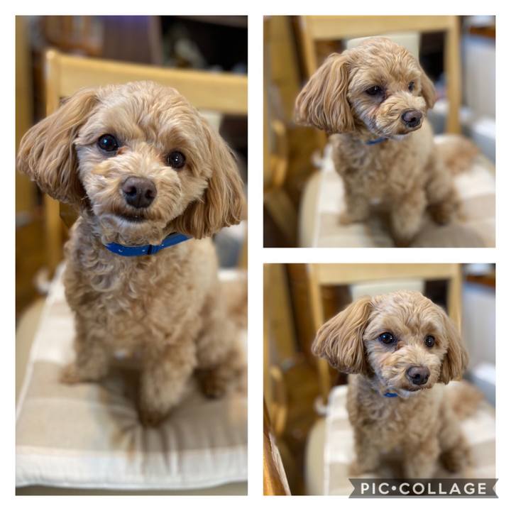 2b85ab1a 7b35 4281 ba52 1c81af7a9aa3 1610494352761