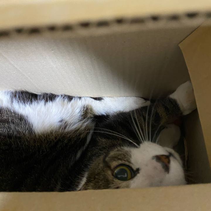 2b85c551 0ed7 45f4 a804 24702c038b22 1582390133216