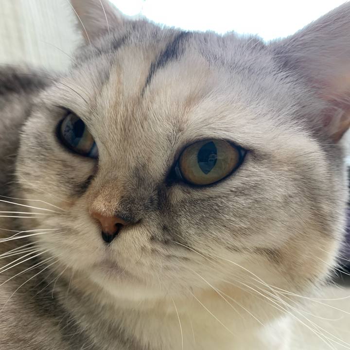 2b85ea1d 6002 415e beab 3688ad3d3d37 1708125784586