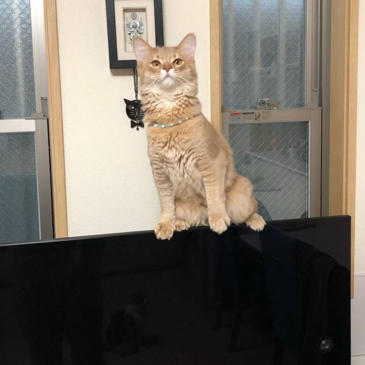 2b861cfa 0f71 47a7 b121 962c9837c65c 1628205155635