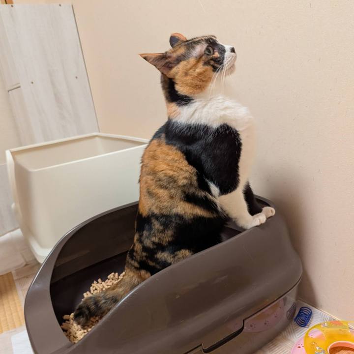 2b86365d af22 4e57 8733 5017aee52b64 1769004323949