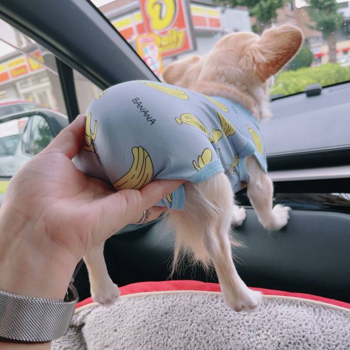 2b864590 5a11 4763 81db 8e247307feb2 1757813755708