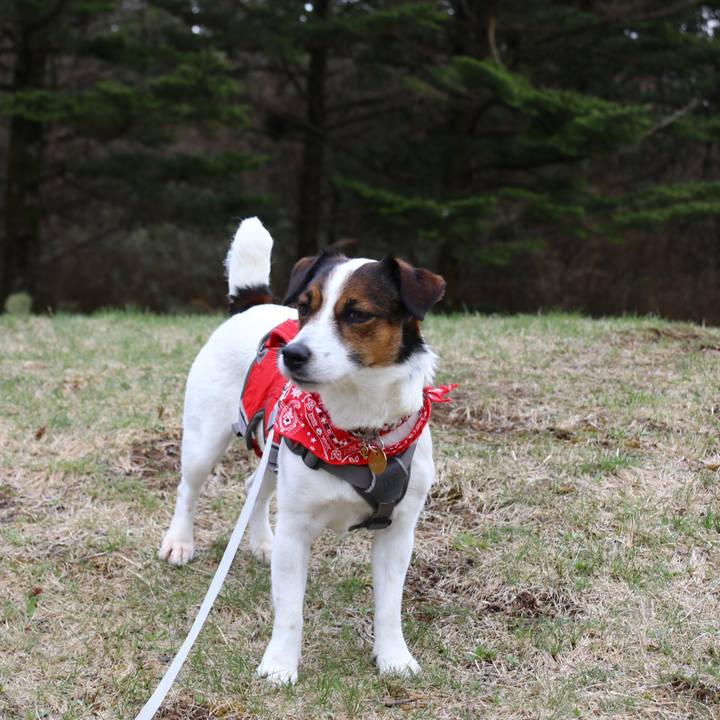 2b865cf9 7507 4d53 aa5c f8602b8da5fc 1556791853944