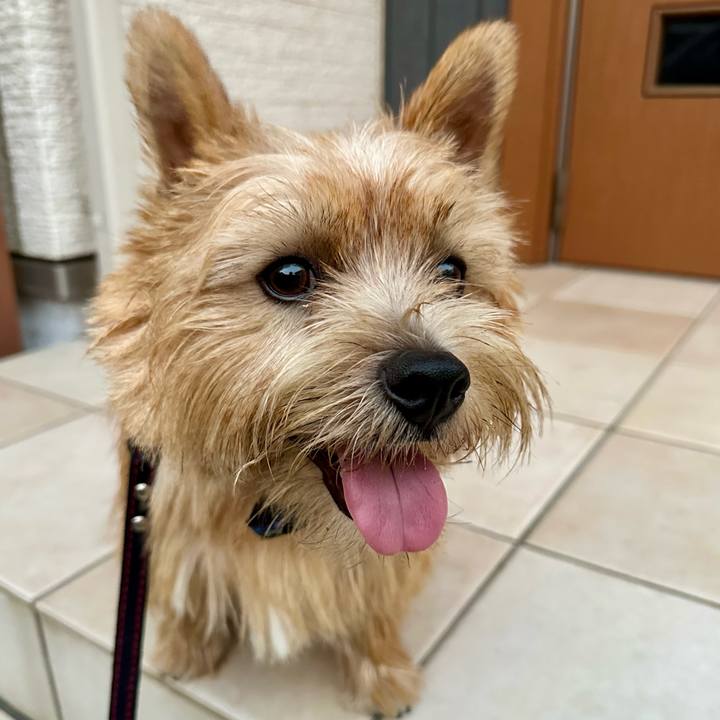 2b866ca6 d4ac 40dd 8ebc 4b2b1e585d61 1755893427430