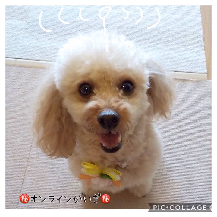 2b869803 e689 4b44 92f6 c8bd0d0c8d01 1590751977838