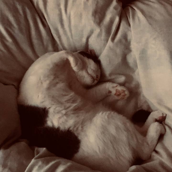 2b86af87 b5c3 4892 932d 2812f6d0c162 1539172629879