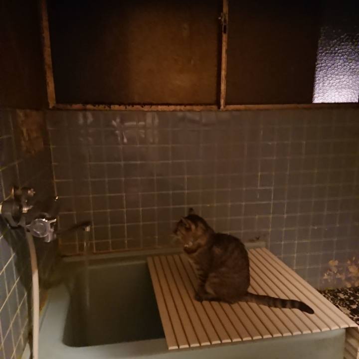 2b86e2b9 a1d9 4d88 a424 6decb35d4cbb 1573463555414