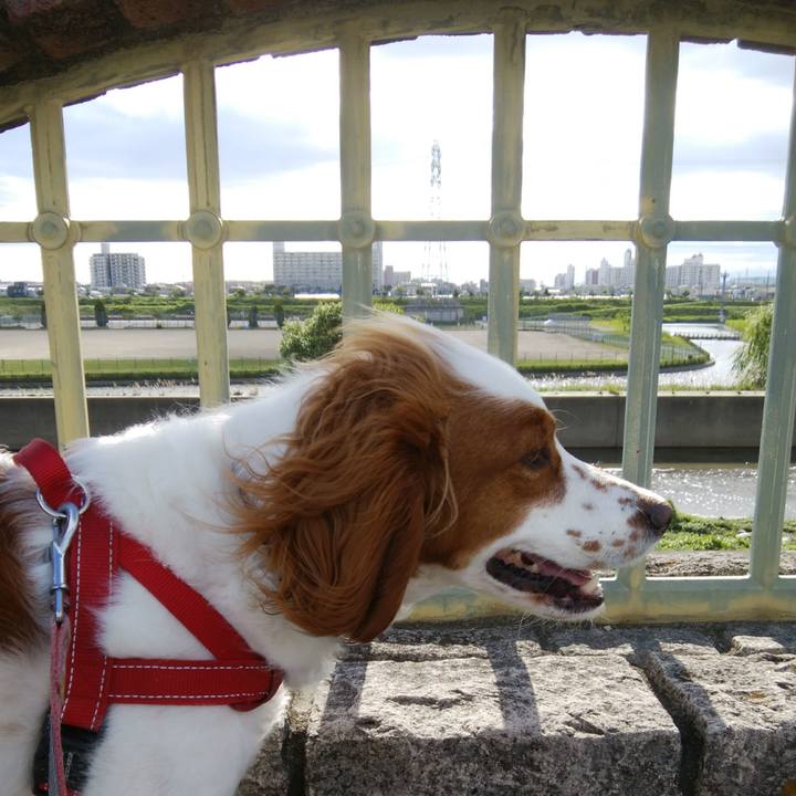 2b86ea3c 496a 4faf a04f 01ef4691dfaf 1526729408513