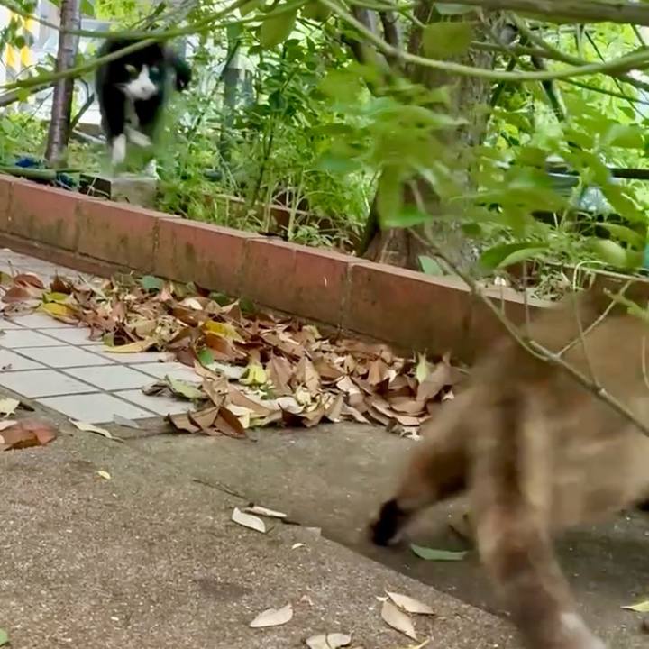 2b872ab2 6e72 4e87 a8eb 98c643c4dba5 1747533917898