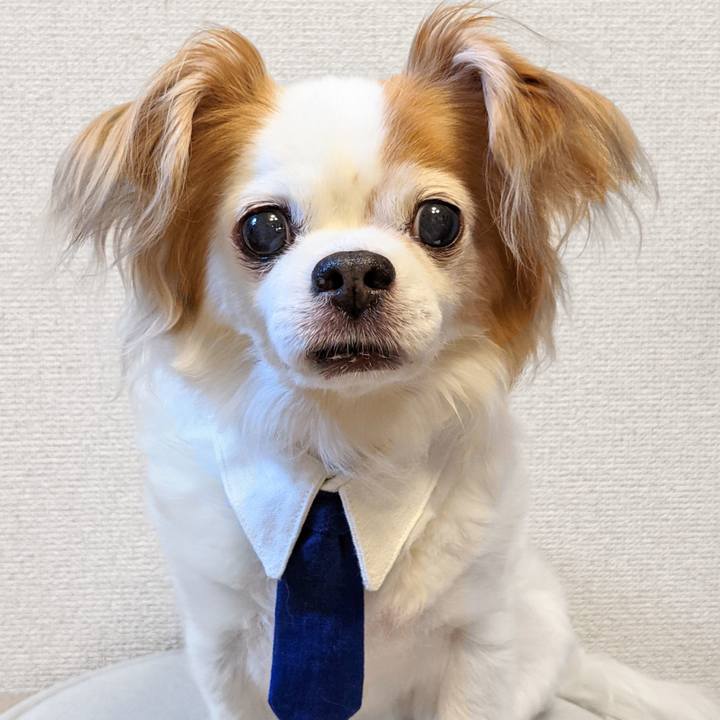 2b873122 2c13 406b 9154 4cb3b88ab5a4 1624882121435