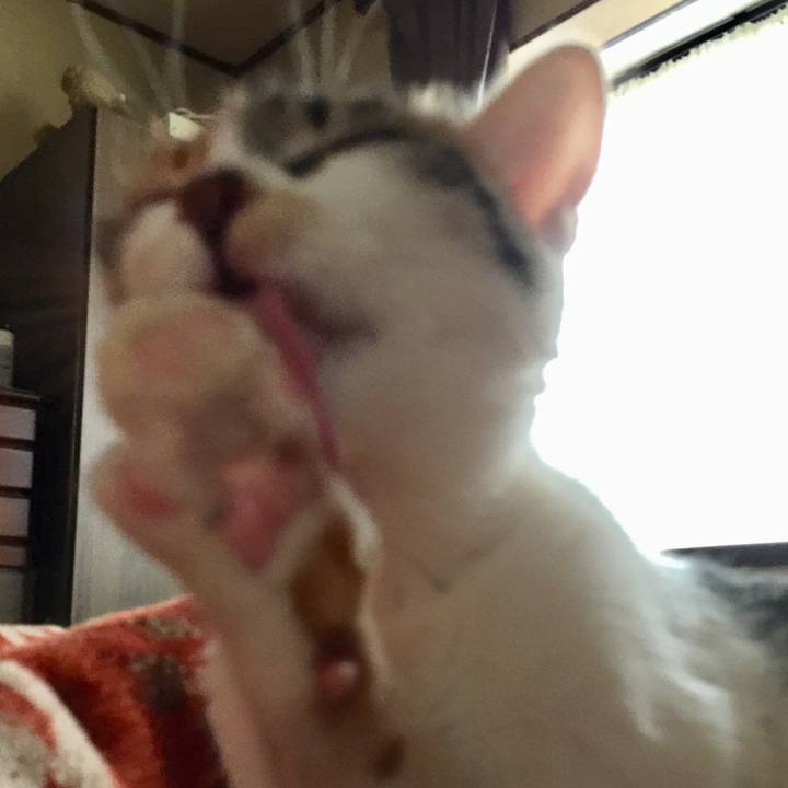 2b873fd5 768c 45ad be56 5be2a79e8aef 1639454244892