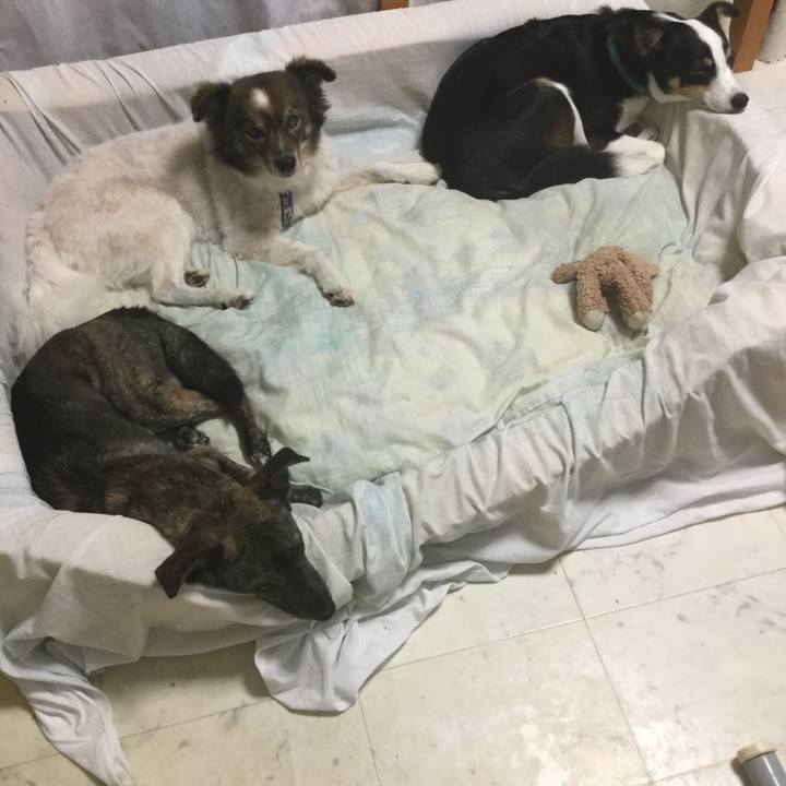 2b875ea5 9dd0 4504 8f3f 3c8ab2175f1d 1580006518072