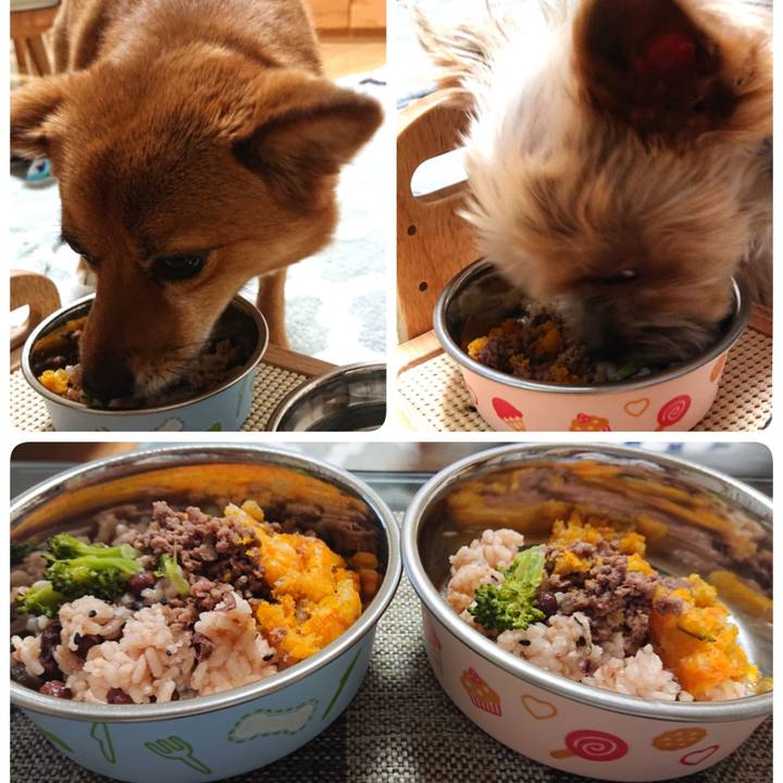 2b87a786 d5ce 4c4f be6e 542bfebe2a30 1556760824009