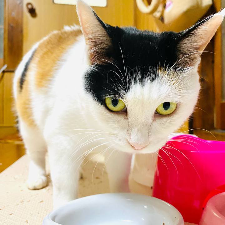 2b87ab4b 4d53 4218 844f 04d7842864da 1693834719318