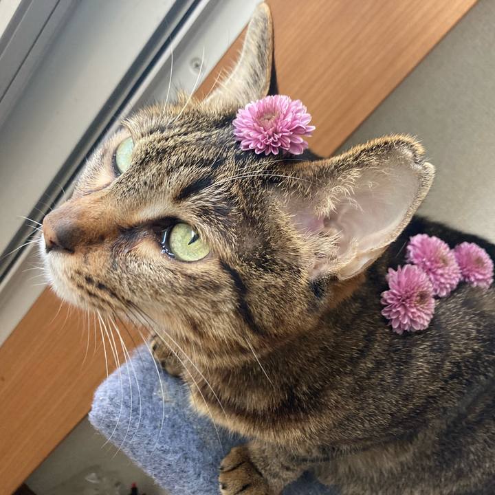 2b87b2c3 3bdb 4792 a08b e057debc564c 1714899619858