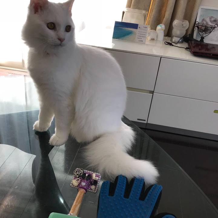 2b88426e af27 4825 b8a0 8d83506adee6 1518951810641