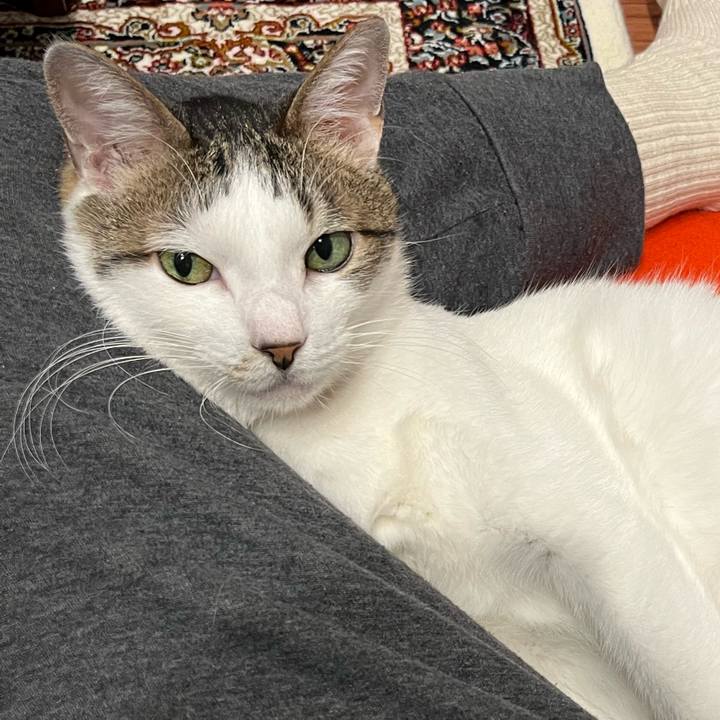 2b886a2d a3e8 46b2 9ef8 3a361639536f 1773269528634