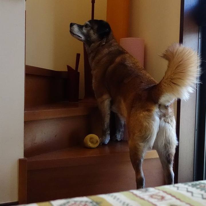 2b88a143 95c7 48c7 b0af 00373fba7bb6 1524358810138