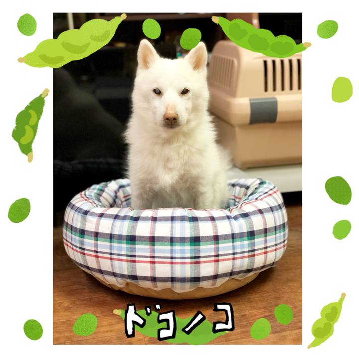 2b88a3d8 a4e6 4ebf 9213 a2c6b2b7ed78 1721312346477