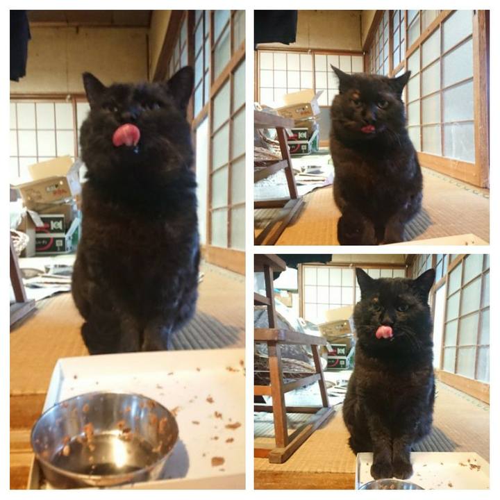 2b88b908 1494 4e1c 8647 868c938b76d8 1617787379709