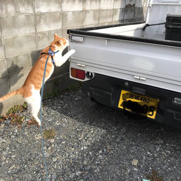 2b88bd59 deb4 47ca 8e45 61606db9c7ee 1512702269656